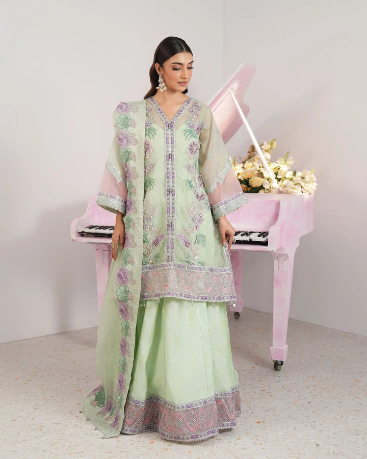 3-Piece Ready-to-Wear Bori Net Maxi | 517-FM-B.NET Sha Posh Textile