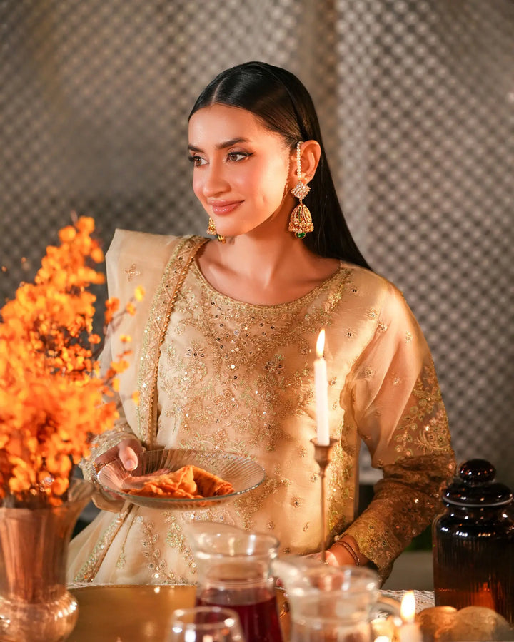 3-Piece Ready-to-Wear Bori Net Suit | 4092-SJ-B.NET Sha Posh Textile