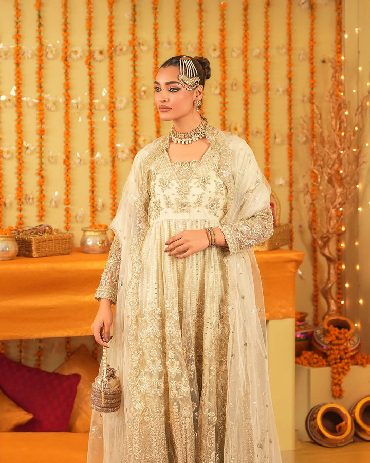 3-Piece Ready-to-Wear Net Frock | 9720-IG-NT - Sha Posh Textile