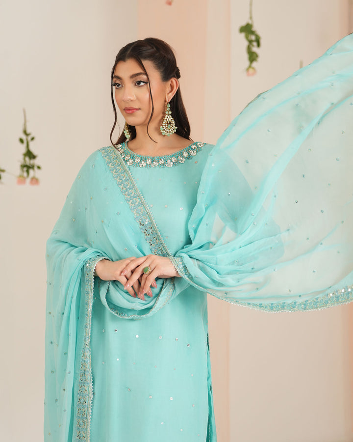 Chiffon 3PC | 1151 - Sha Posh Textile
