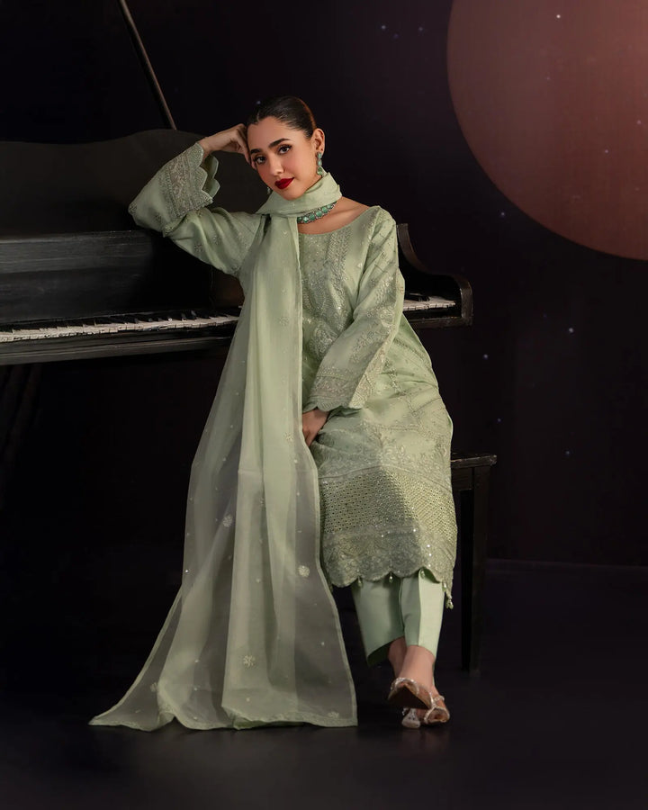 3 Piece Bori Net Suit Stitched | 2262-AF-B.NET - Sha Posh Textile