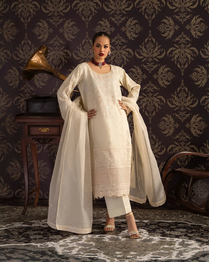 3 Piece Bori Net Suit Stitched | 2262-AF-B.NET - Sha Posh Textile