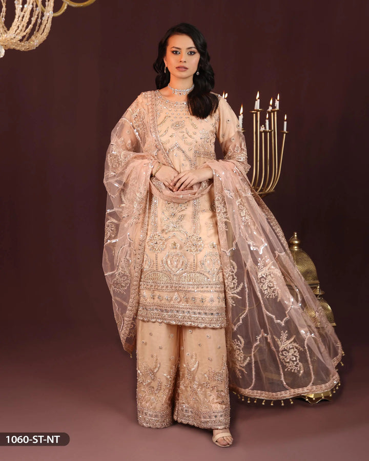 Embroidered Net Suit | 1060-ST-NT - Sha Posh Textile