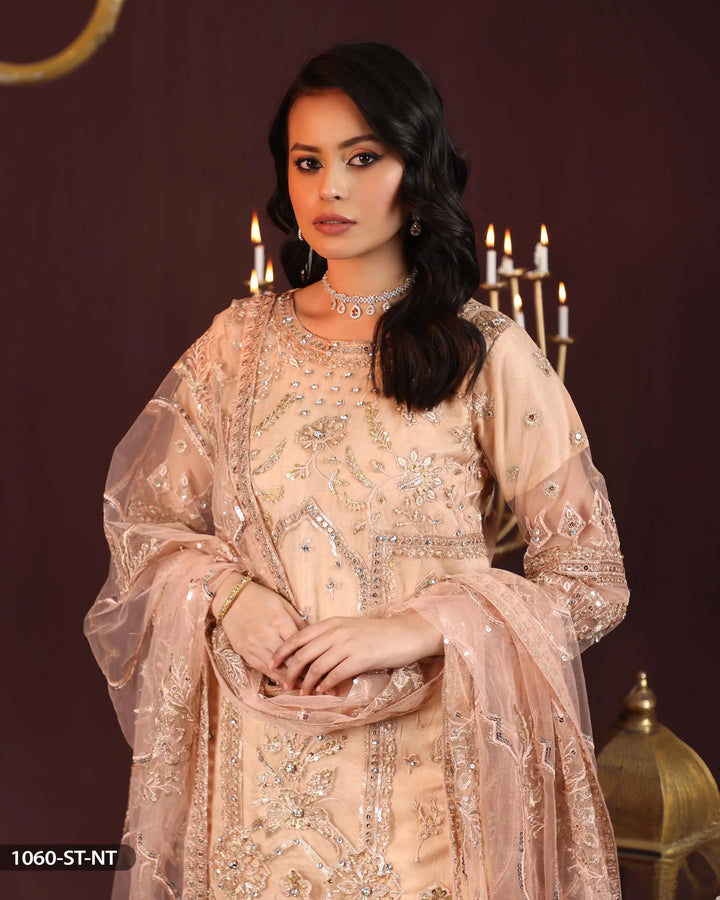 Embroidered Net Suit | 1060-ST-NT - Sha Posh Textile