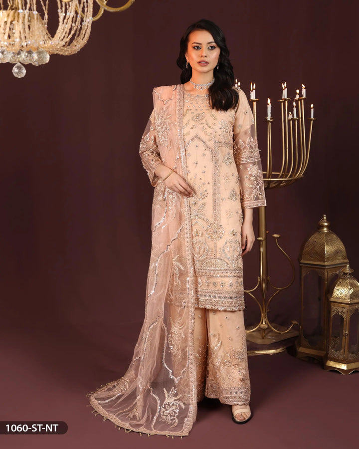 Embroidered Net Suit | 1060-ST-NT - Sha Posh Textile