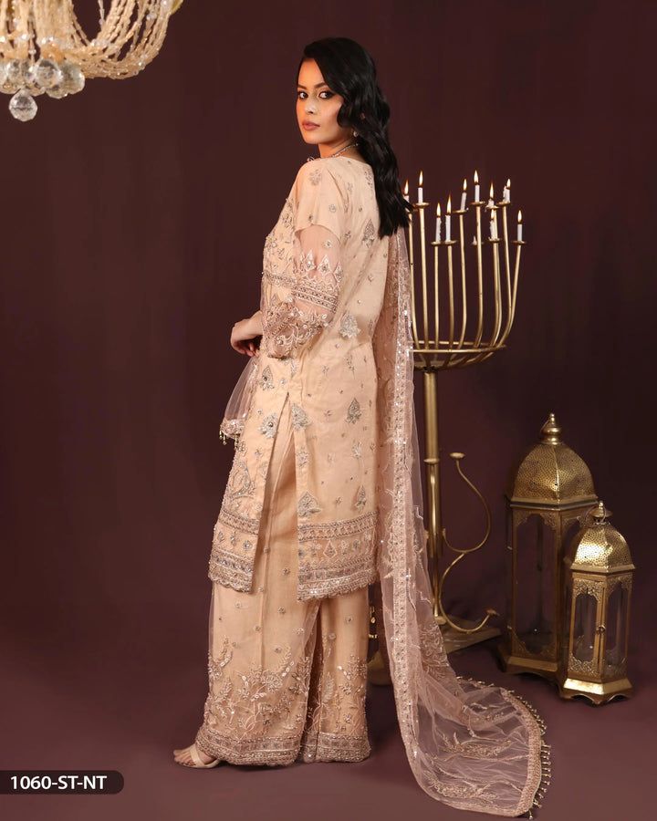 Embroidered Net Suit | 1060-ST-NT - Sha Posh Textile