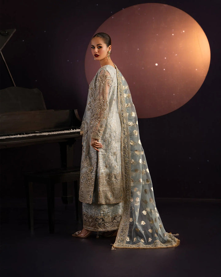 3-Piece Ready-to-Wear Net Suit | 1123-ST-NT Sha Posh Textile