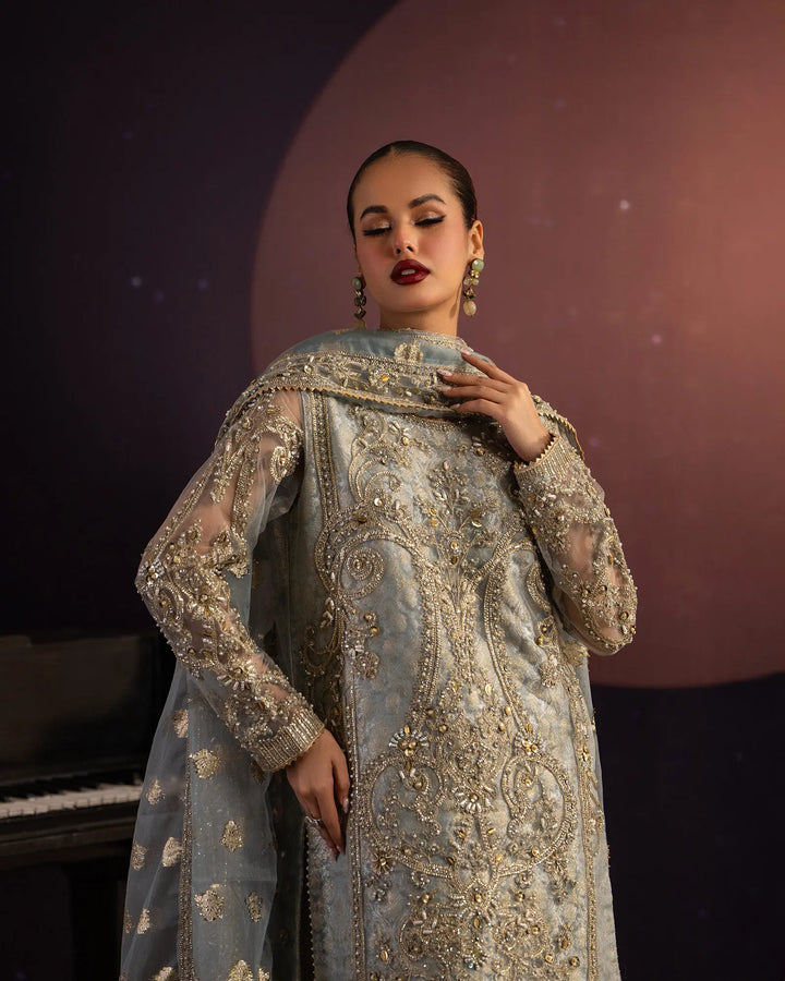 3-Piece Ready-to-Wear Net Suit | 1123-ST-NT Sha Posh Textile