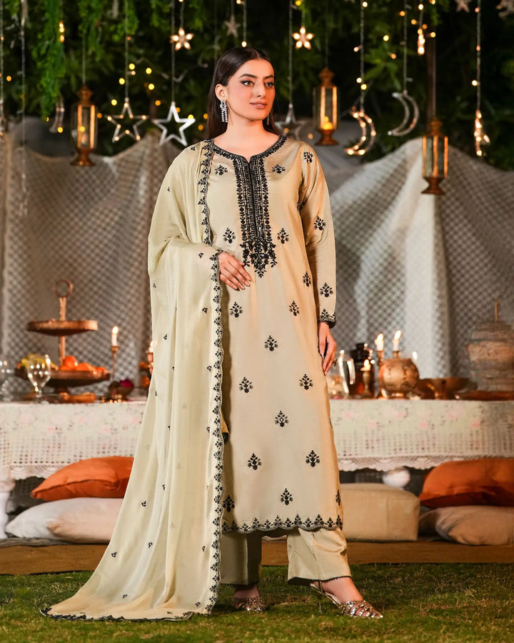 3-Piece Ready-to-Wear Raw Silk Suit | 1146-ST-RWS Sha Posh Textile