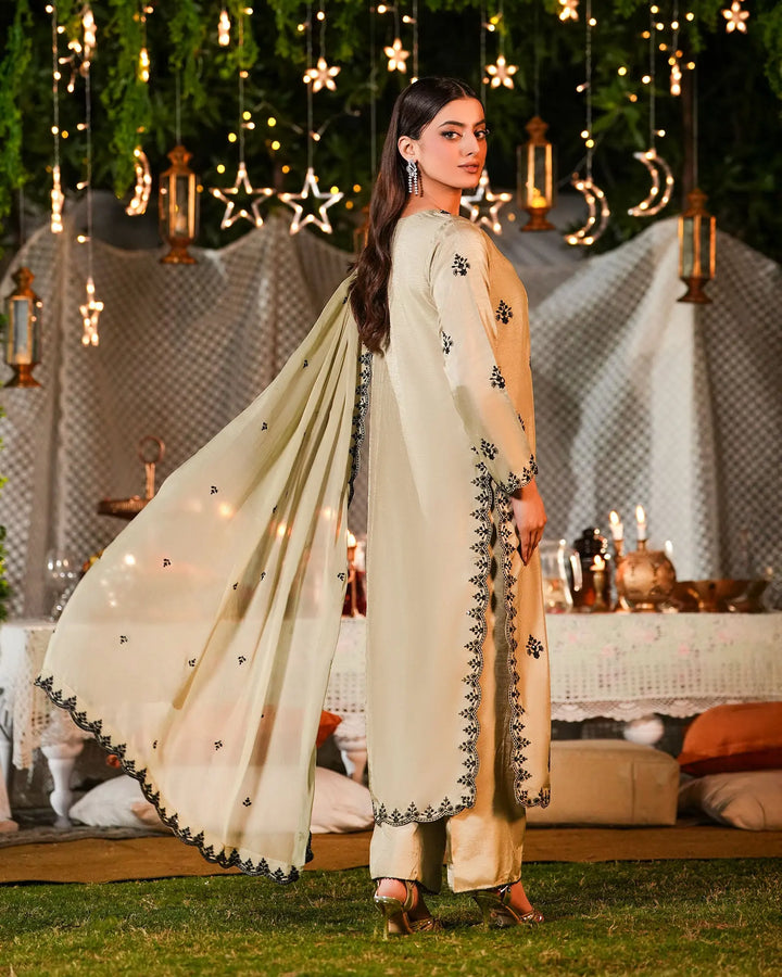 3-Piece Ready-to-Wear Raw Silk Suit | 1146-ST-RWS Sha Posh Textile