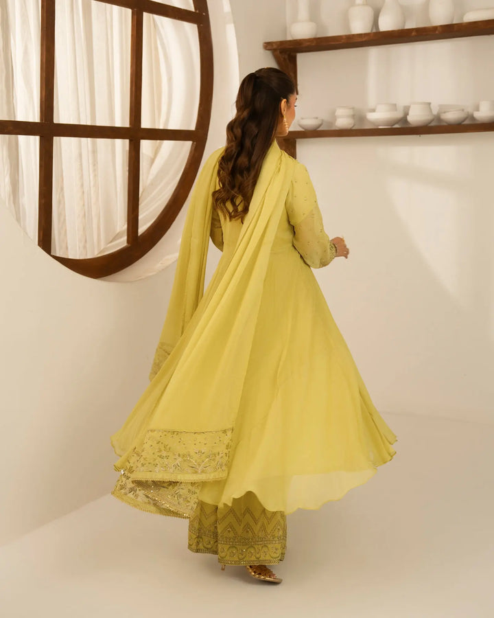 Chiffon Frock | 4095 Sha Posh Textile