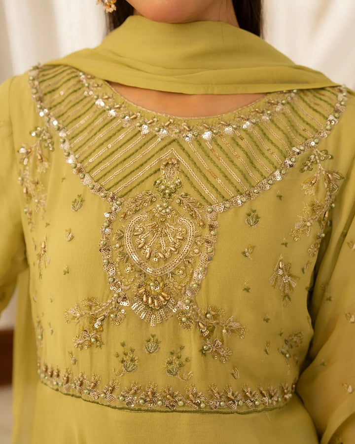 Chiffon Frock | 4095 Sha Posh Textile
