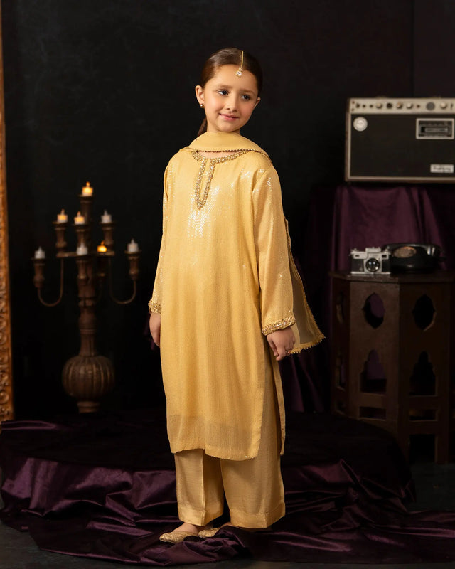 Kids Danedar Chiffon 3PC | 1178 Sha Posh Textile