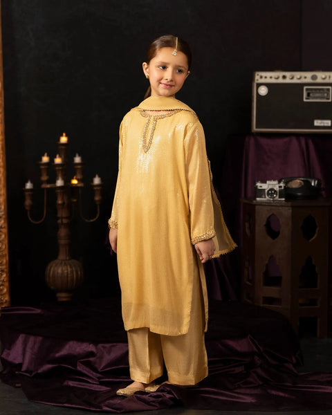 Kids Danedar Chiffon 3PC | 1178 Sha Posh Textile