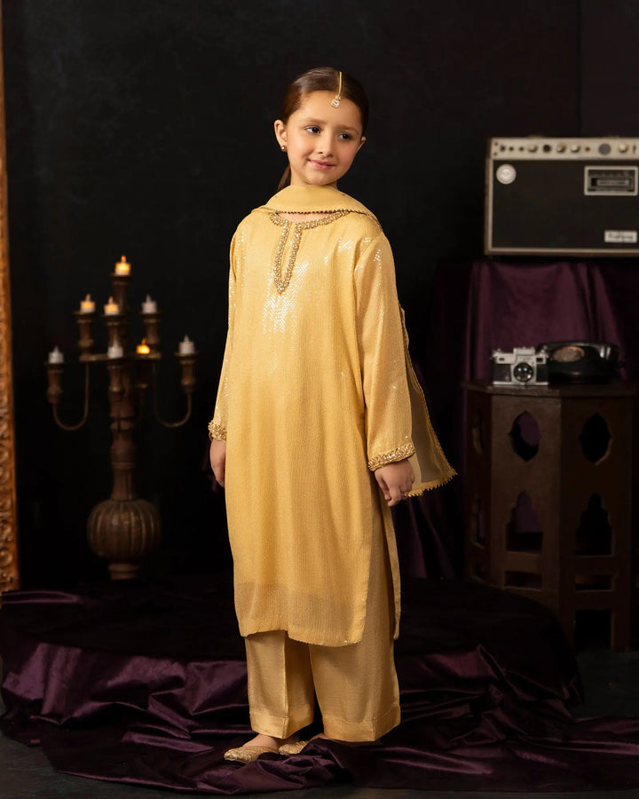 Kids Danedar Chiffon 3PC | 1178 Sha Posh Textile
