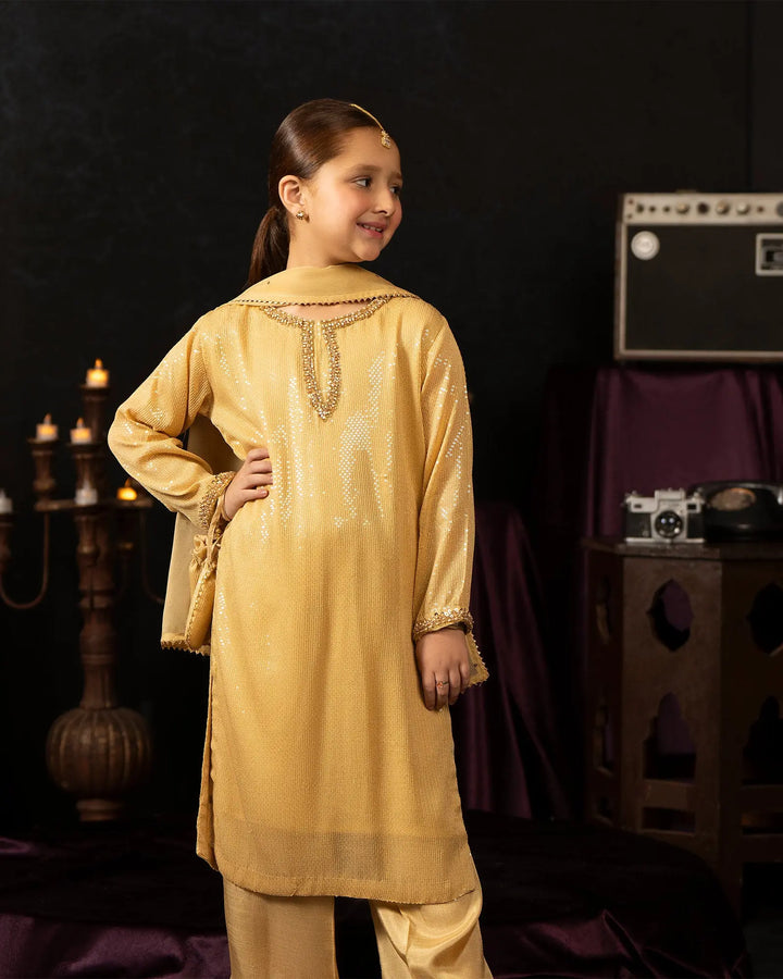 Kids Danedar Chiffon 3PC | 1178 Sha Posh Textile