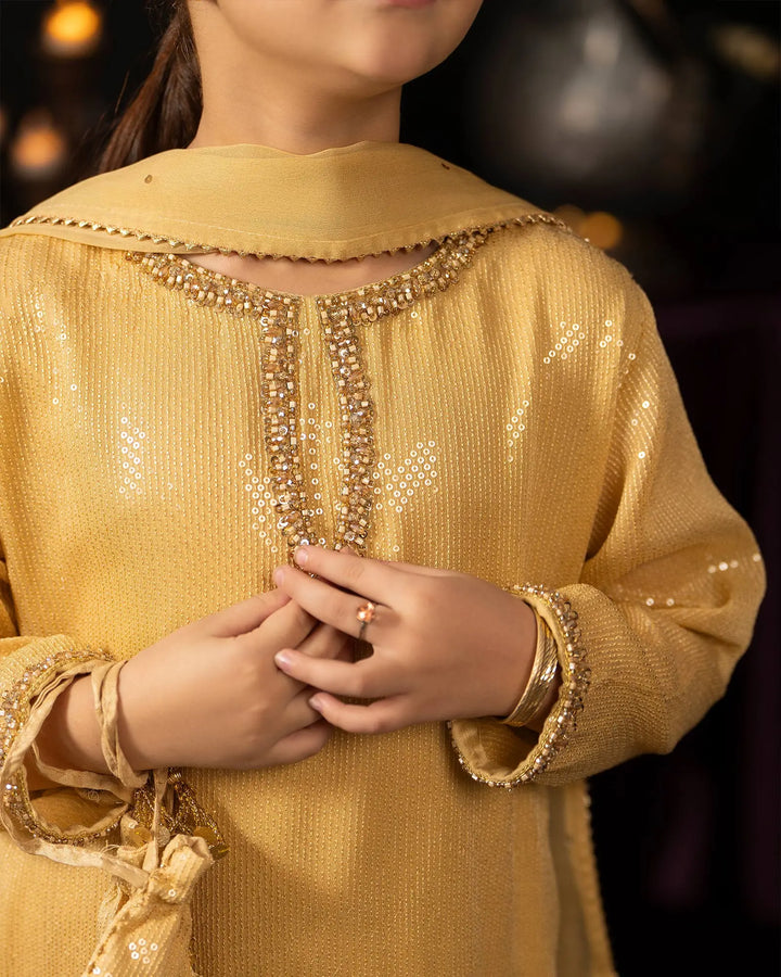 Kids Danedar Chiffon 3PC | 1178 Sha Posh Textile