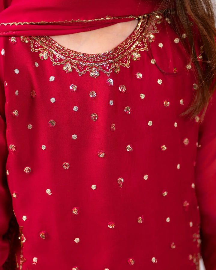 Kids Danedar Chiffon 3PC | 1337 Sha Posh Textile