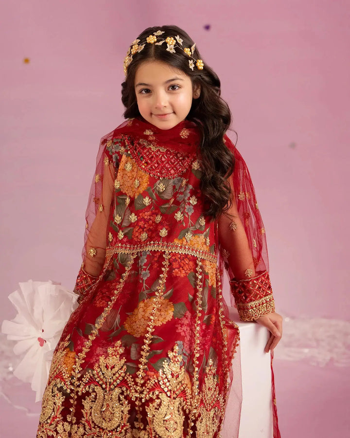 Kids Net Frock | 1160 Sha Posh Textile