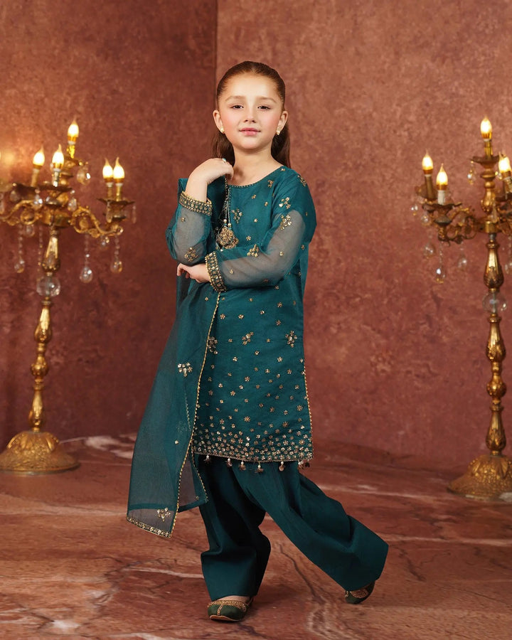 Kids Organza Net 3PC | 4111 Sha Posh Textile