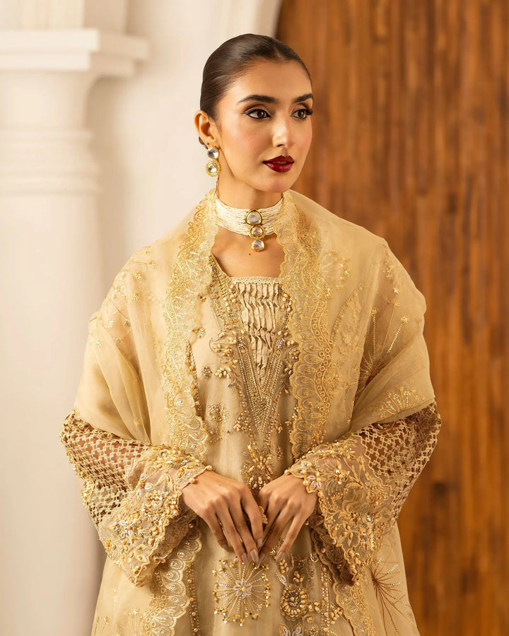 Organza 3PC | 9716 Sha Posh Textile