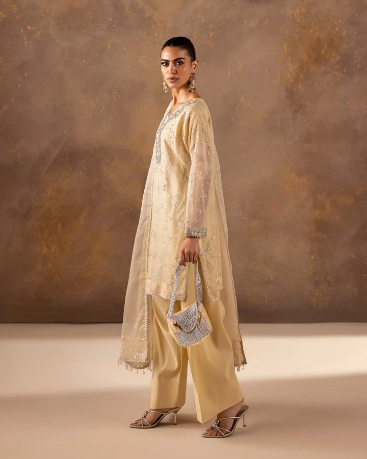 Women 3 Pcs Semi Pure Organza | 1190