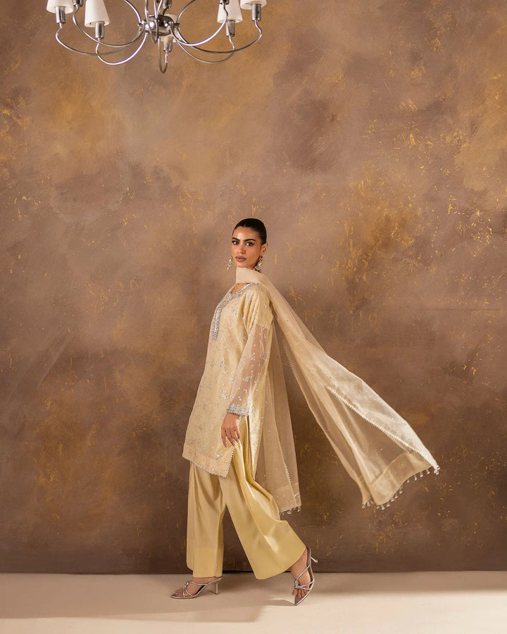 Women 3 Pcs Semi Pure Organza | 1190