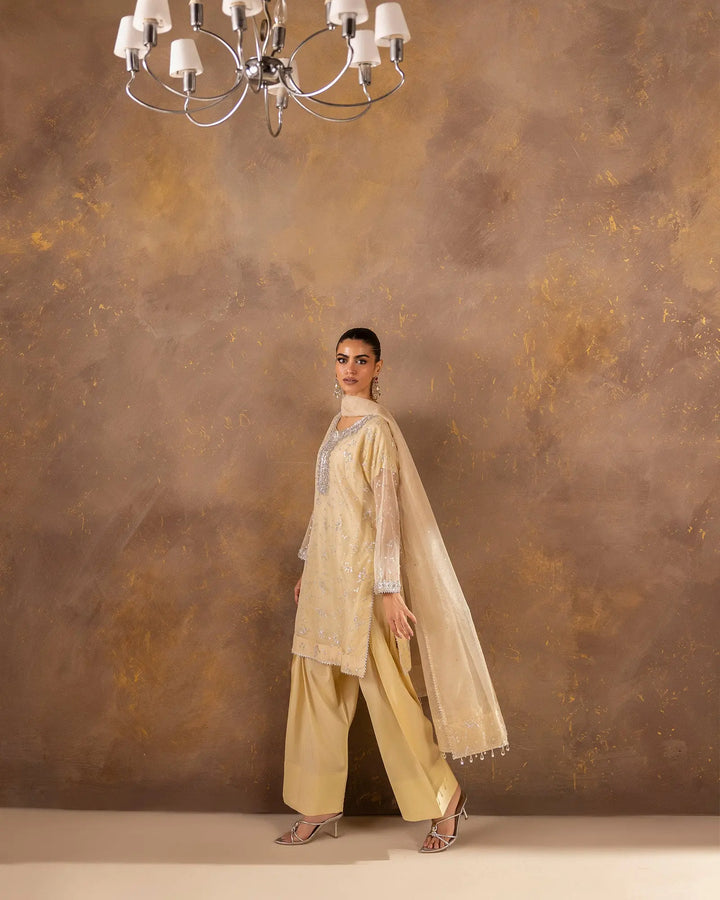 Women 3 Pcs Semi Pure Organza | 1190