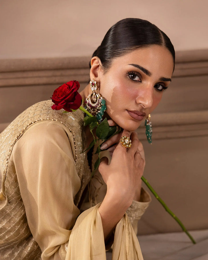 Women Embroidered Chiffon Maxi Dress – Formal Wear Sha Posh Textile