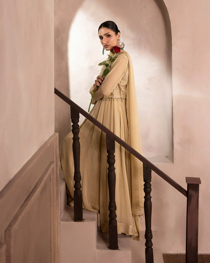 Women Embroidered Chiffon Maxi Dress – Formal Wear Sha Posh Textile