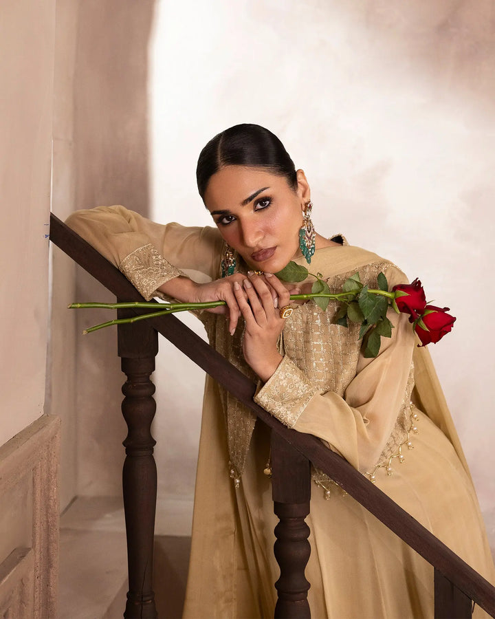 Women Embroidered Chiffon Maxi Dress – Formal Wear Sha Posh Textile