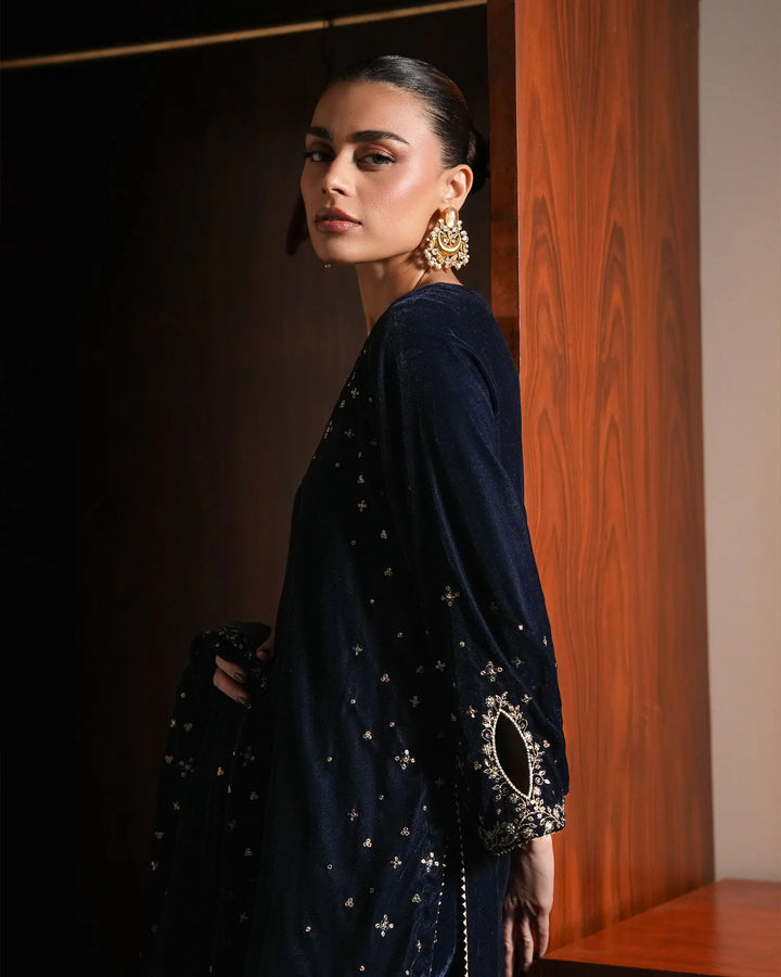 Women Velvet 3 Pcs | 1252